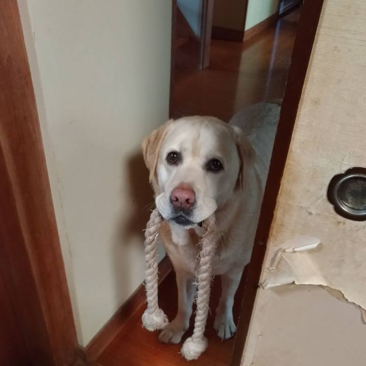 C7b3d95e 1f46 4e46 bcd9 a6f22c419321 1642330404965