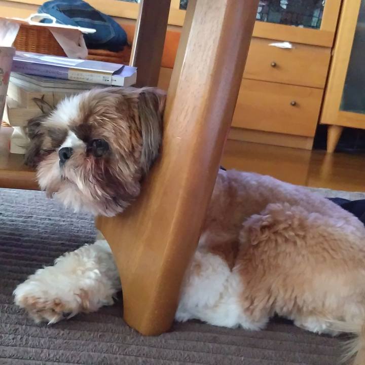 C7b3de88 e367 42e8 91f3 f88f449edf38 1590233711878