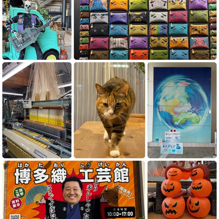 C7b3fb8b 7eba 4b79 badc b0789f40df0c 1761561685156