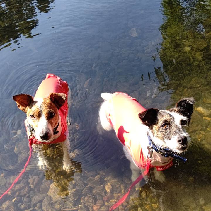 C7b3fe37 a737 43e7 8ea5 fb75f70314d8 1689505125479