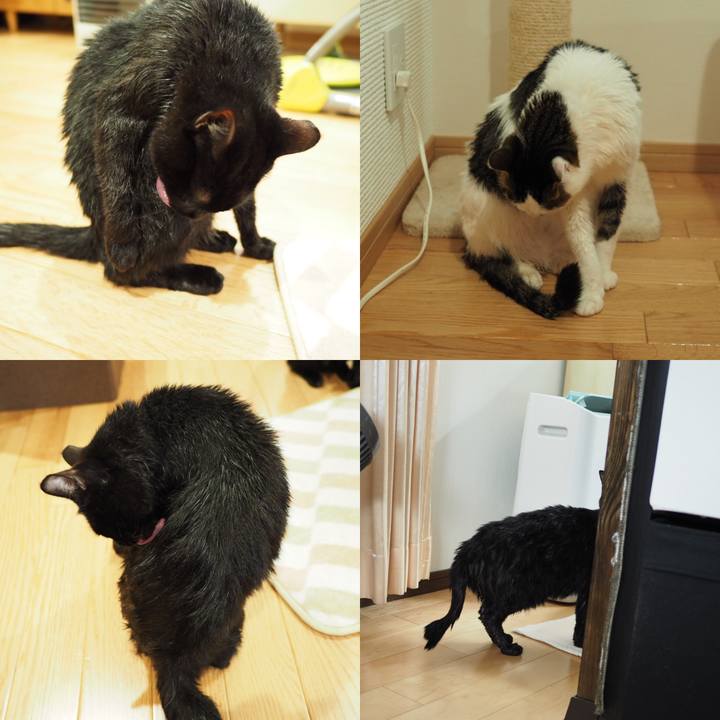 C7b42df2 9580 447d ac84 ea32a1f68ad4 1545661142609