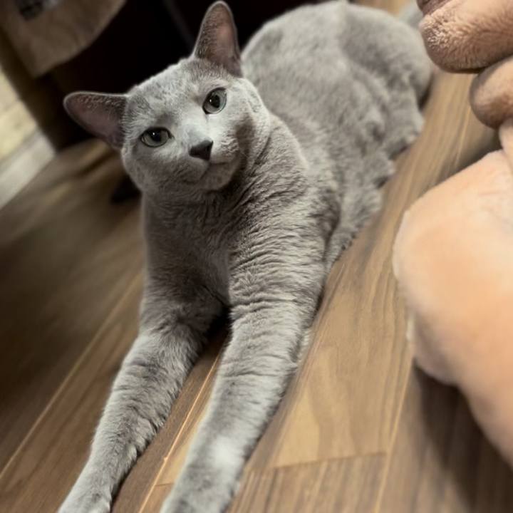 C7b42fab 062a 4036 818b 46f747c97bc1 1740274762484