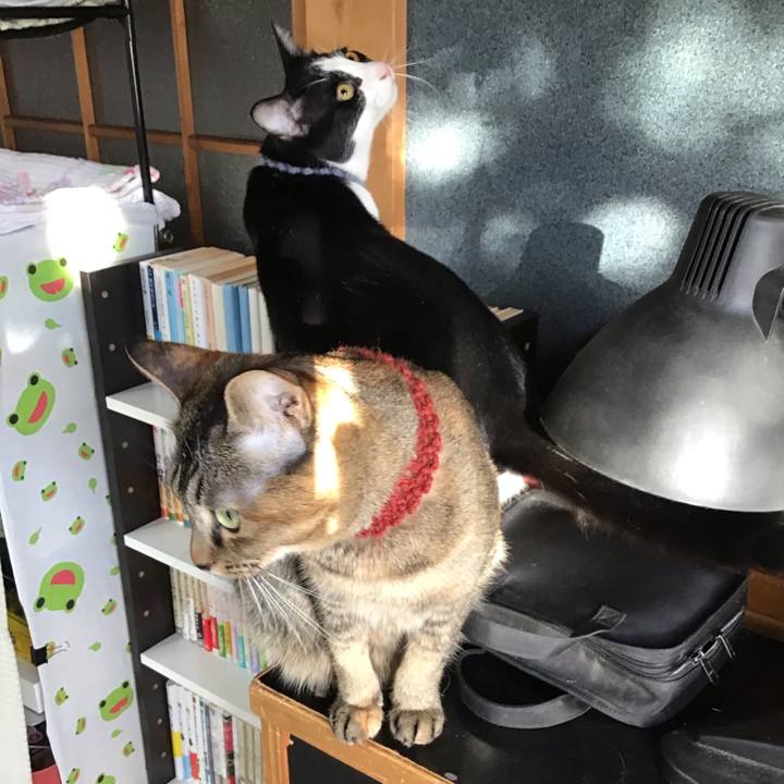 C7b44937 bbbb 48bb 8d4b 1f9afecbdd66 1639020174727