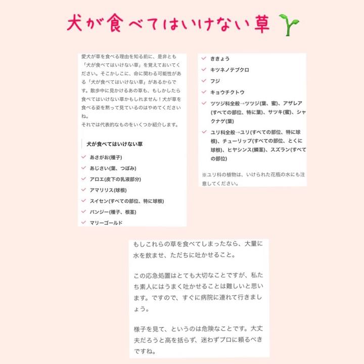 C7b44dfa 05be 4b89 8e5e 8f0ae9383093 1523955250346