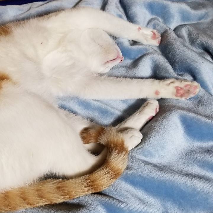 C7b44ec1 1f9a 4e1b a674 d8b498a62b0a 1526216270808