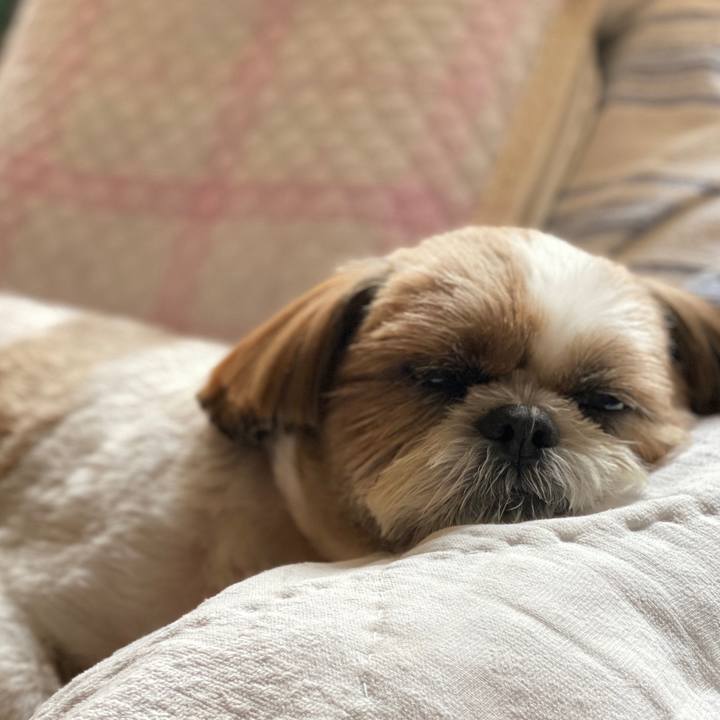 C7b47836 64cb 4061 a274 90a70909d0c7 1596243085673