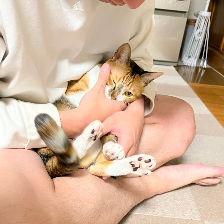 C7b487b9 b62b 4854 ad02 0eafa643a3fc 1733178698036