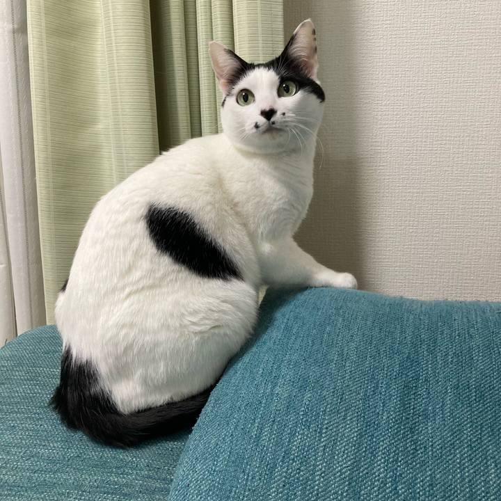 C7b48e81 9177 448a afd1 e9b9b844c798 1767818162085