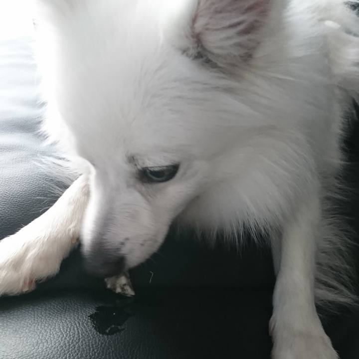 C7b4a74d a356 475e 9abd 90072e4663bf 1524023671192