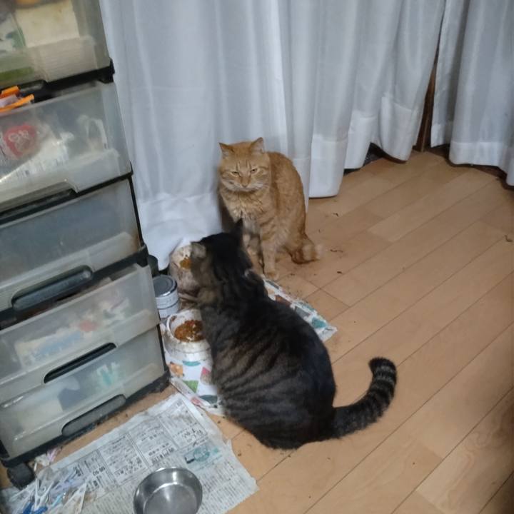 C7b4c783 f3b6 4026 9761 87406ccf0da0 1699000021628