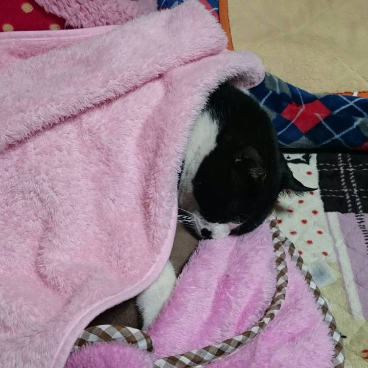 C7b4e09d 72fa 4192 adb5 20e8d6e5f33d 1520417143574