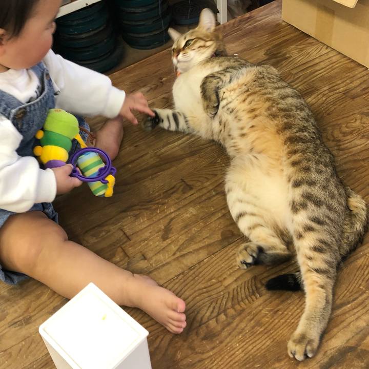 C7b4fc6b e1e6 4f5d 9a43 20ef4d2852ec 1614240437964