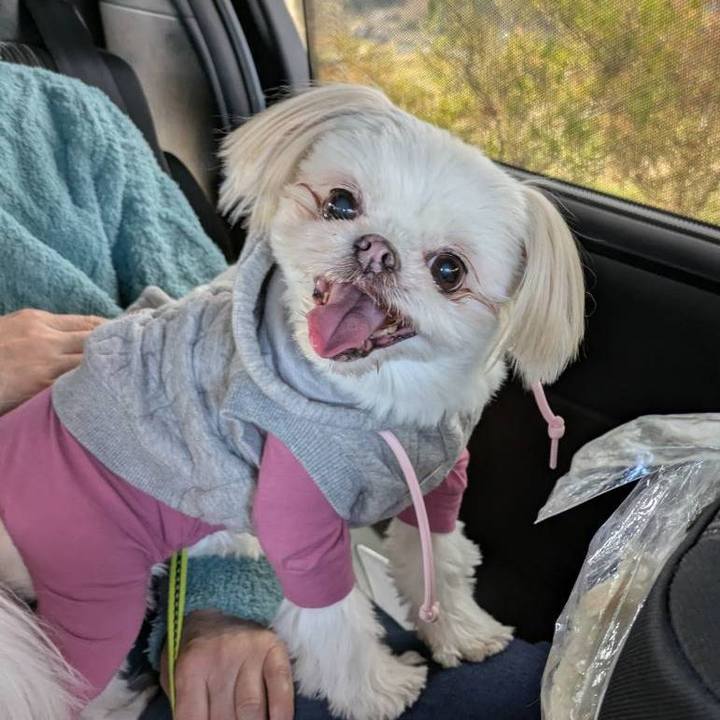 C7b512fd 333e 4edf 8aaf b5be453b884d 1733643093119