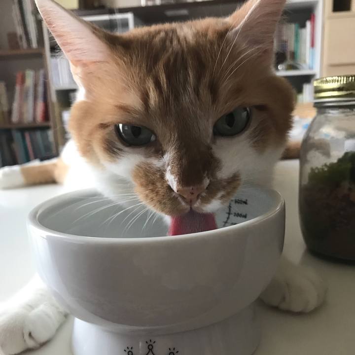 C7b5405b 6543 4ac4 b4ed 0cd1b09a230b 1564533595956