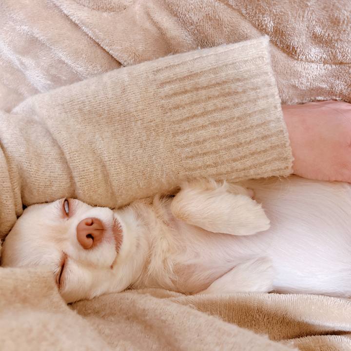 C7b54264 d0a6 466f 9df7 3165849bd0f7 1674469793714