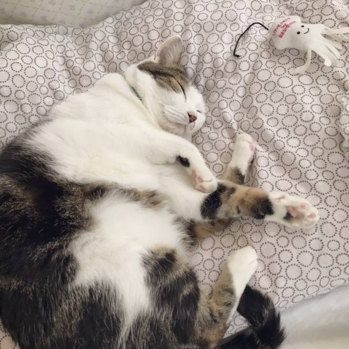 C7b55673 68eb 4616 beb8 7927a1b6e47b 1558585358769