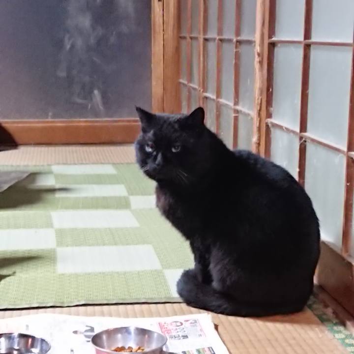 C7b56aa4 b2cf 4ba2 8b9d 39304c55be4f 1615379252554