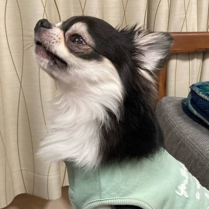 C7b57c1a 588b 4e6c a495 fd0e5d49b7e9 1648909418276