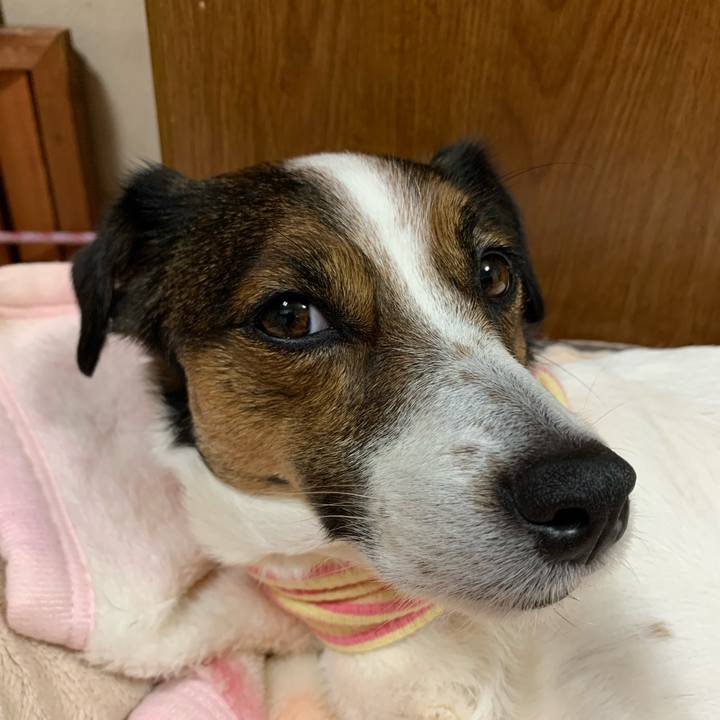 C7b61ccd 863d 4cfd a158 9aaf3fd5f699 1579954408112