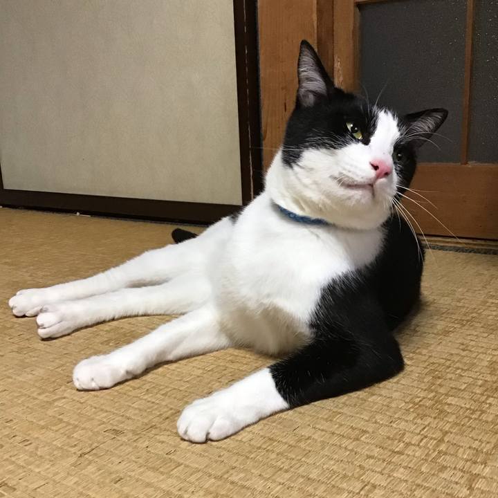 C7b64124 0aa7 4f9b 9f43 6f2fd8a95752 1685358535763