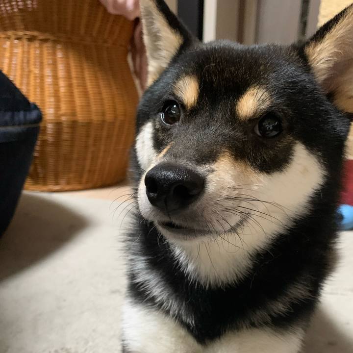 C7b6657a ea2f 4d56 9946 b1382c6df1ef 1620996475254