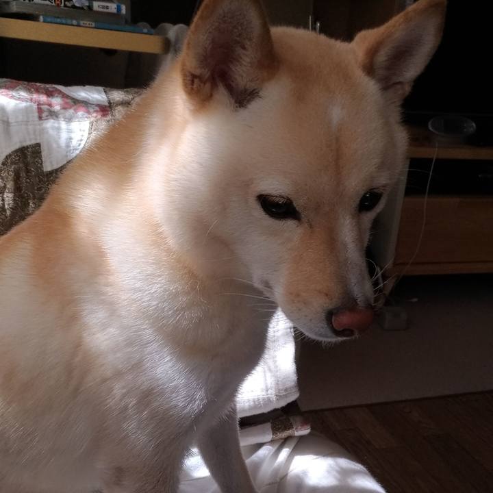 C7b69dfd 01fb 4971 bf9f c3a49c34f00d 1569117380603