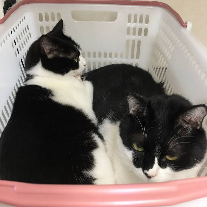 C7b6f05b 22f9 401f b640 0be2f686f48a 1516592148941