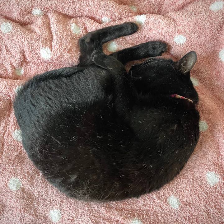 C7b6fc74 842a 4284 a82e 017ab6f98676 1714132230526