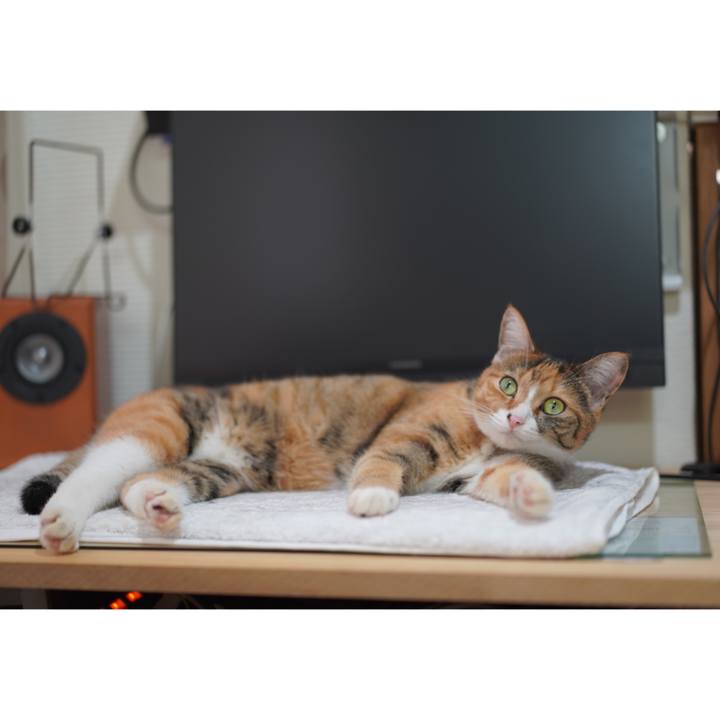 C7b726a7 d001 47f5 ac32 89018e9f3eed 1628685318413