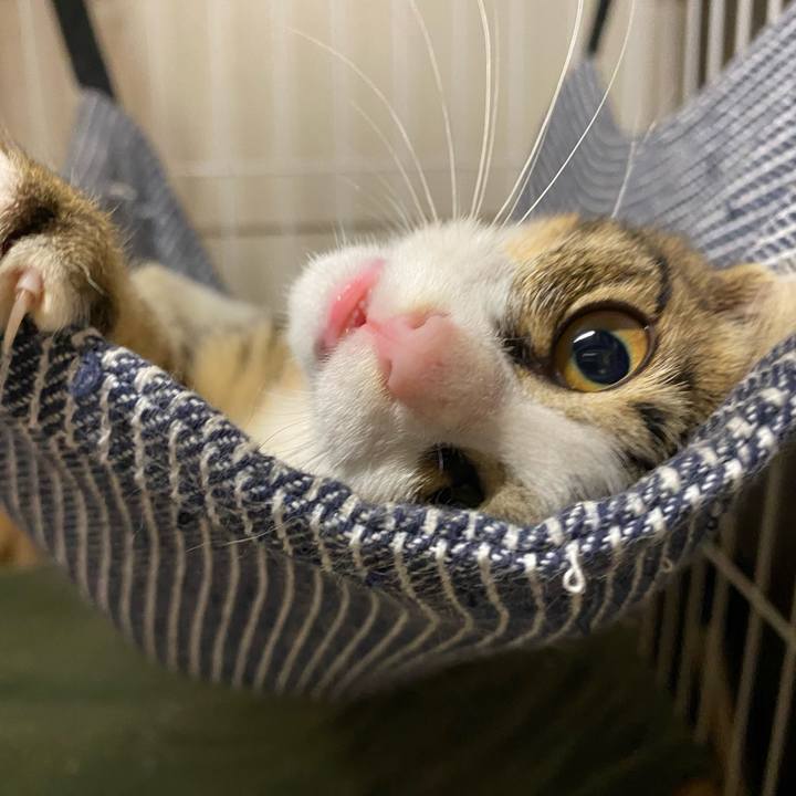 C7b73934 af10 4adc a191 bcd7e9ab377e 1634117894333