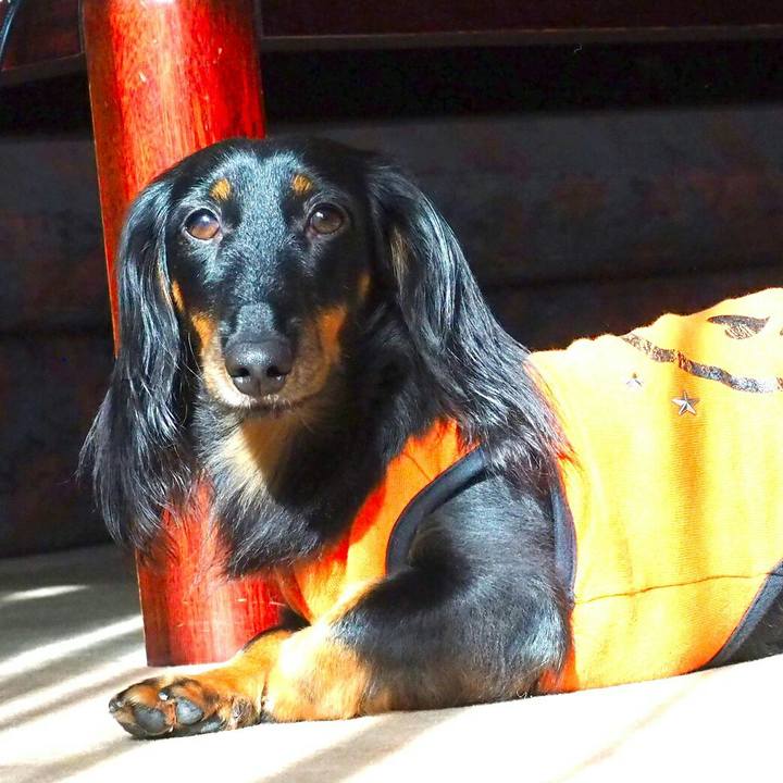 C7b7420e 1fa7 4c88 b907 3374e8e59f78 1511578551980