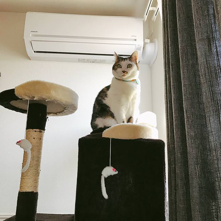 C7b75a04 4e67 4abe ae22 cc68c2099dc8 1524968107067