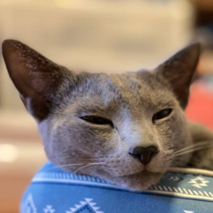 C7b768f3 ed34 42db 90a5 935472eb16d2 1622690300442