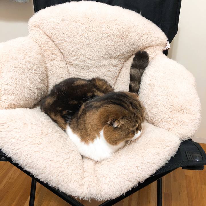 C7b7a541 28a5 4cfe adc6 9f1090c161b3 1545447781882