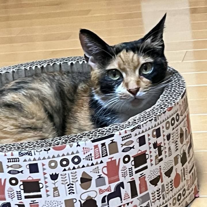 C7b7c8dd a508 4bda 9bf6 f955cb461a05 1665759583975