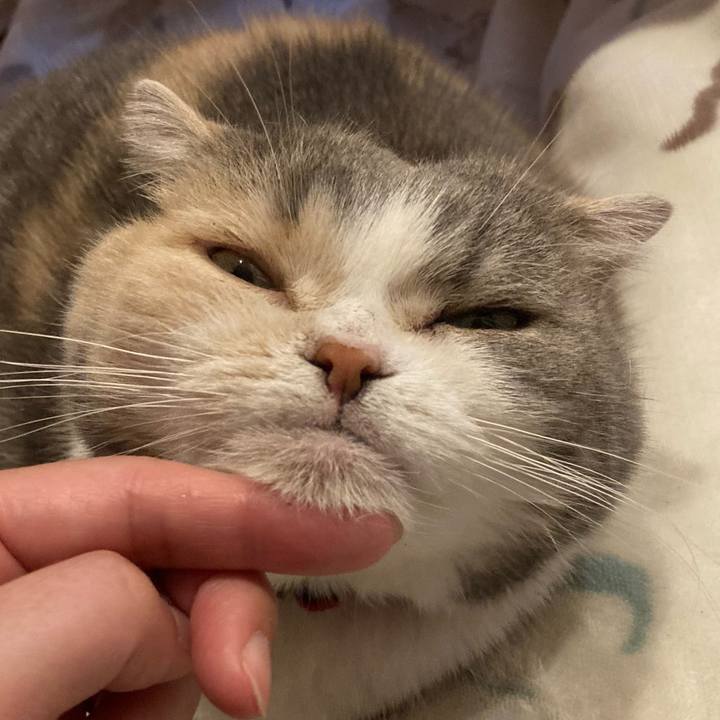 C7b7e4dd e318 46aa af34 17e85596b7e8 1739444897295