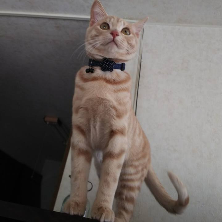 C7b83a9b 418d 4894 9e13 67d29c4754fc 1546739387509