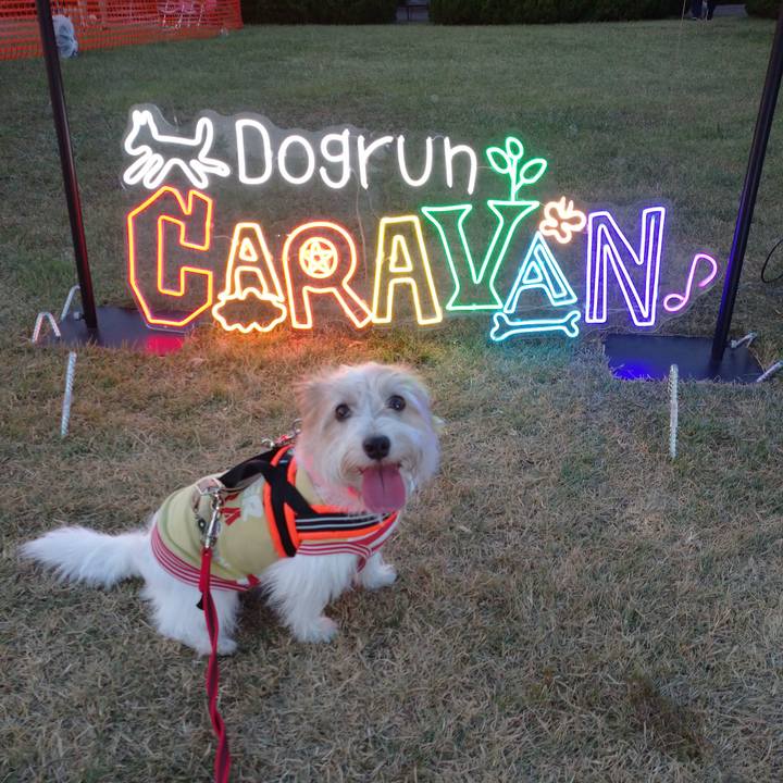 C7b876ce 2bbe 4ebd bed8 6353b660cb92 1756034527089