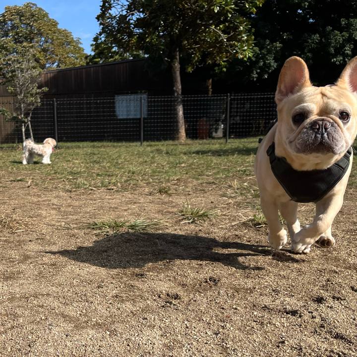 C7b8a9bf 7695 4e42 b4fe 1749f276eb49 1760757906904