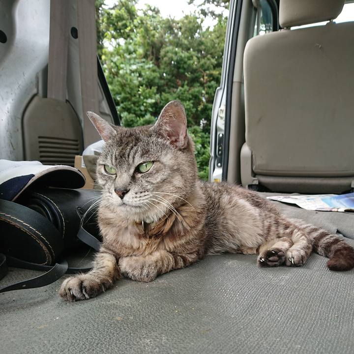 C7b8b5ad 7faa 4cc3 83a5 3174fe6af871 1567305028789