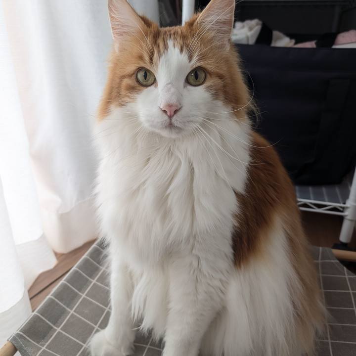 C7b8ebd8 5b27 4908 aaea e7af78cc27fb 1742260044456