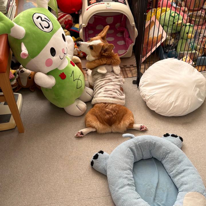 C7b90d6e f12b 4bf0 9368 a3e56c3d118a 1768633161723