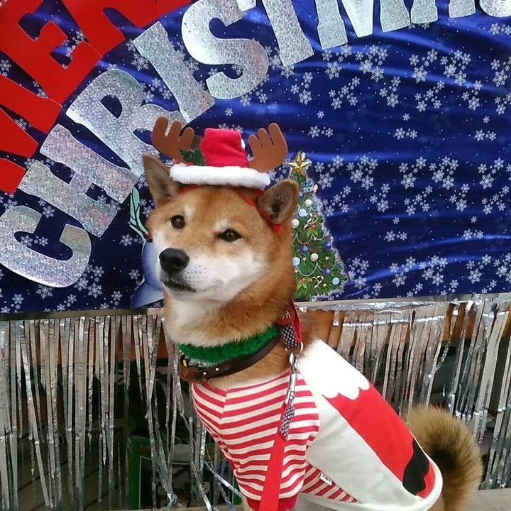 C7b9443c 9f75 4ab1 bcb6 22e45fc6f2b9 1577004471567