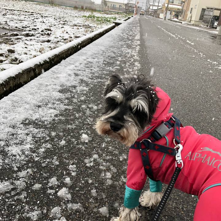 C7b95247 e66c 48eb 8fa7 2b813acabb22 1639796756157