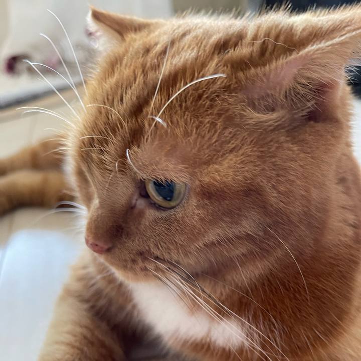 C7b958b4 6c9e 4d74 814c 151e892f8230 1694228477610