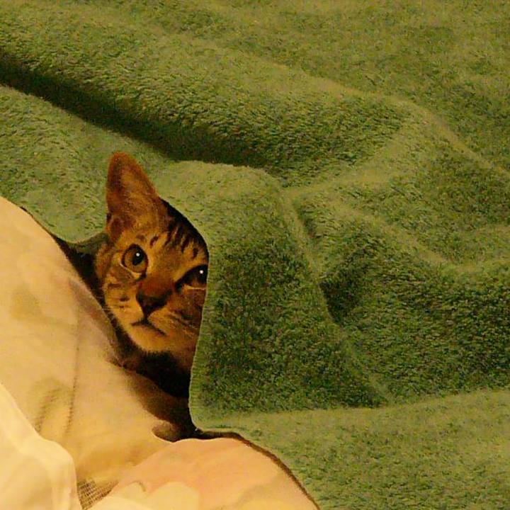 C7b9785f e3d2 4467 bf58 8746fd32a606 1582895063525