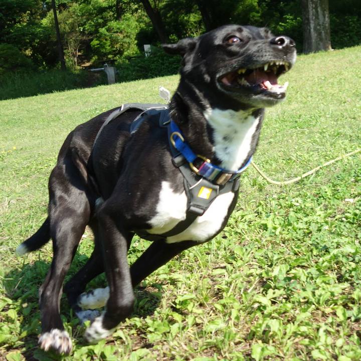 C7b99b89 c2ab 4f9c 96fe 85d70e241565 1652921446715