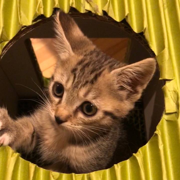 C7b99db3 32be 4d40 ba57 2dcd346e0c05 1541772101354