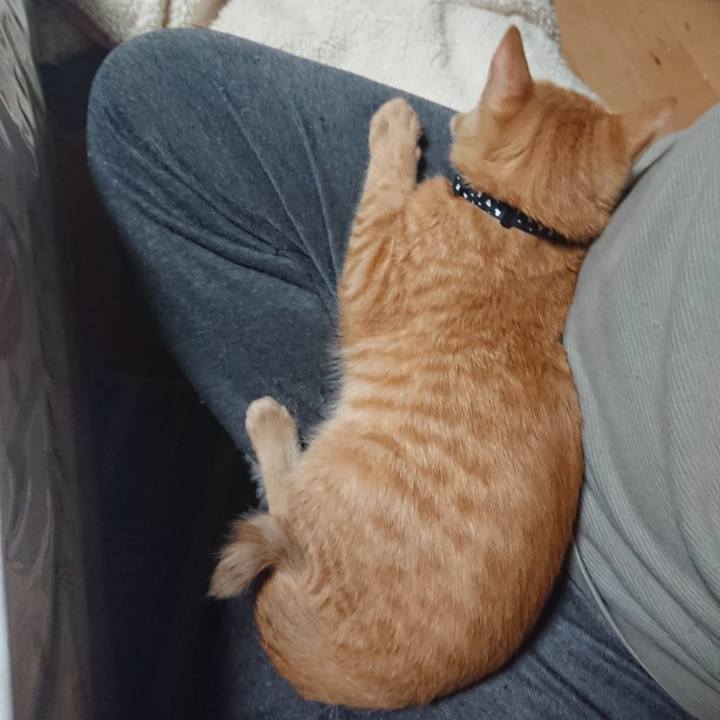 C7b9b271 3d30 45ff 8f35 c9cb859dca49 1634209831554