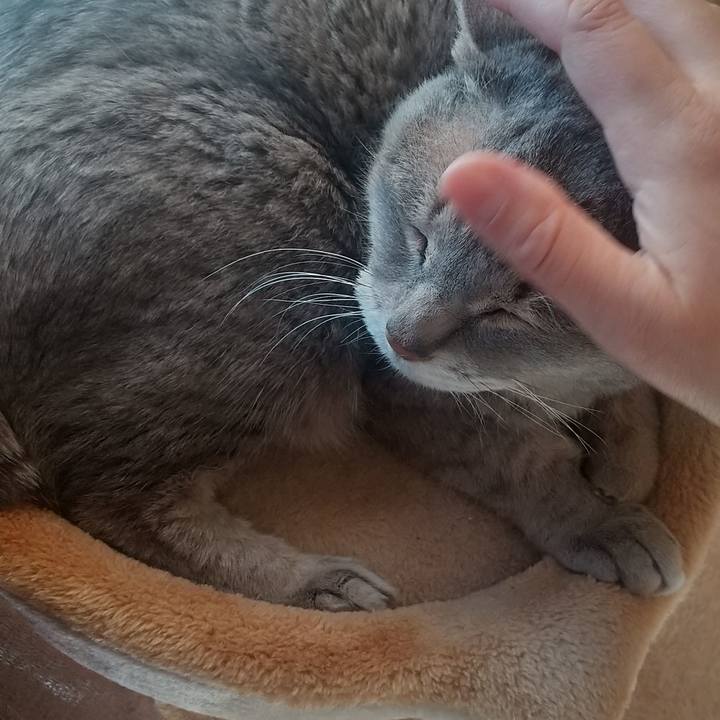 C7b9ba3b 463b 4c5f 81c0 9b60d643ffa6 1678487108047